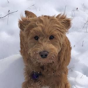 Meet your Posher, Jaime